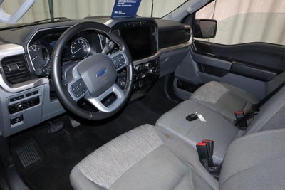 2023 Ford F-150 XLT 4WD SuperCrew 5.5' Box