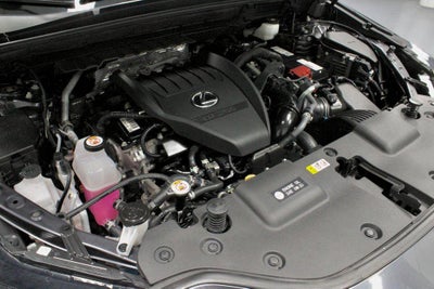 2023 Lexus NX 350 350 Premium