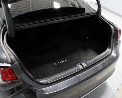 2024 Lexus ES 250 250