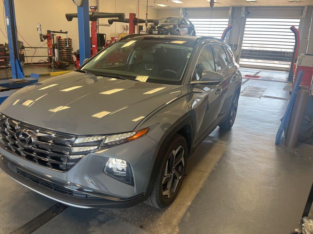 2024 Hyundai Tucson Limited AWD's photo